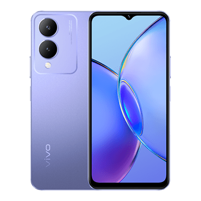 Vivo Y17s Price